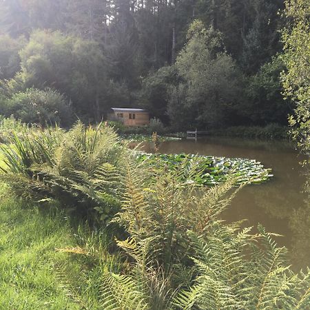 The Goose Nest Luxury Lakeside Shepherd Hut In Cardinham Woods, Cornwall Buitenkant foto