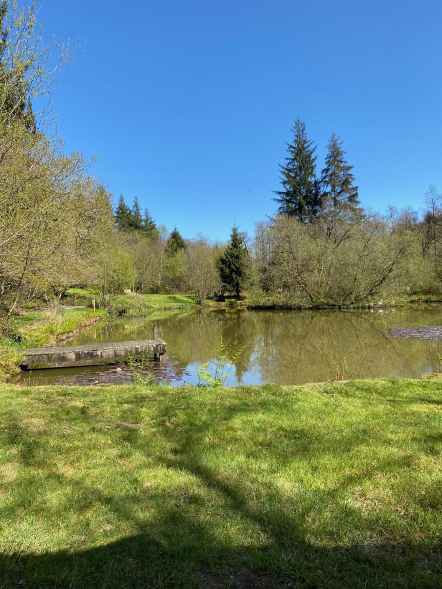 The Goose Nest Luxury Lakeside Shepherd Hut In Cardinham Woods, Cornwall Buitenkant foto