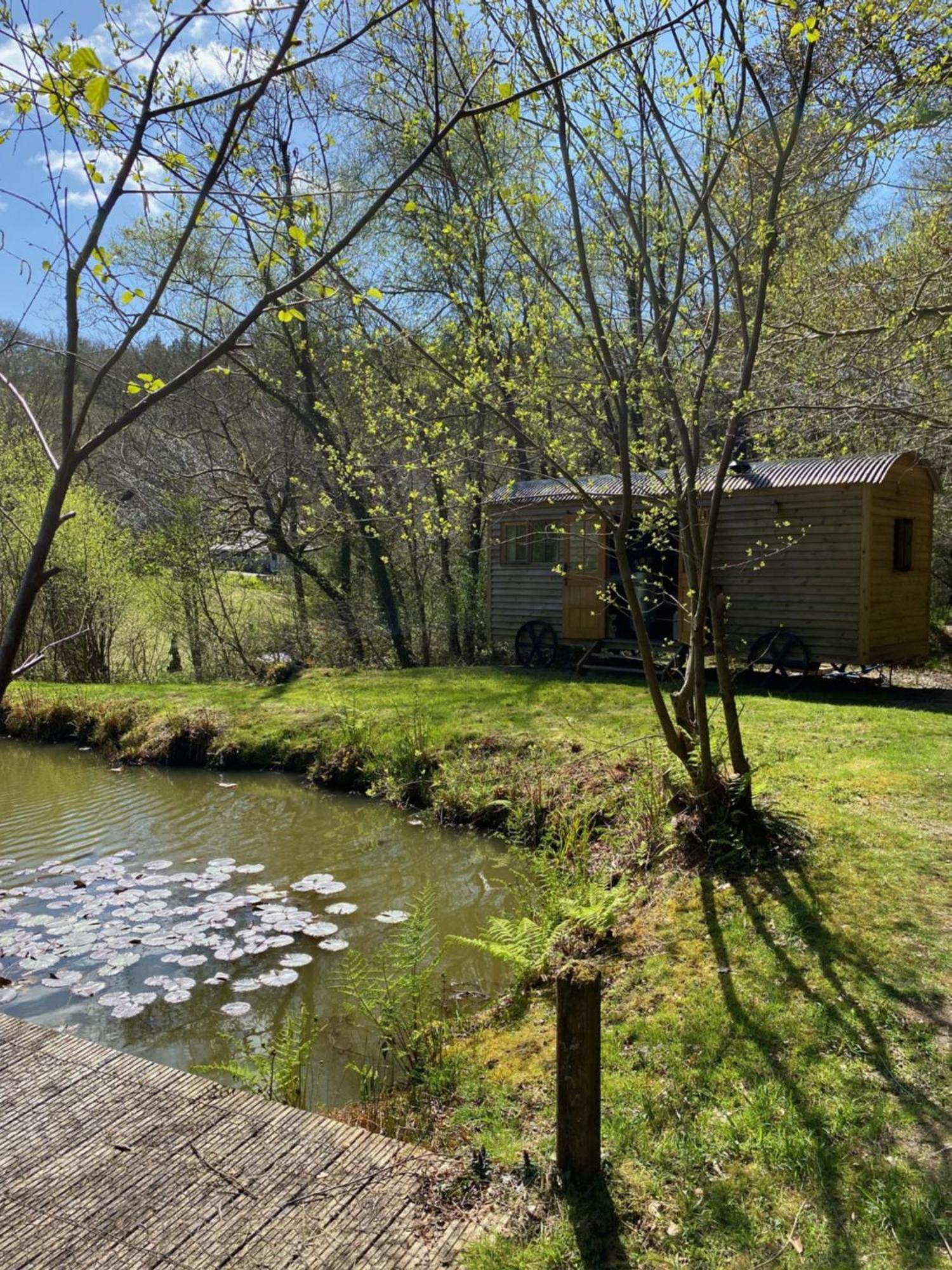 The Goose Nest Luxury Lakeside Shepherd Hut In Cardinham Woods, Cornwall Buitenkant foto